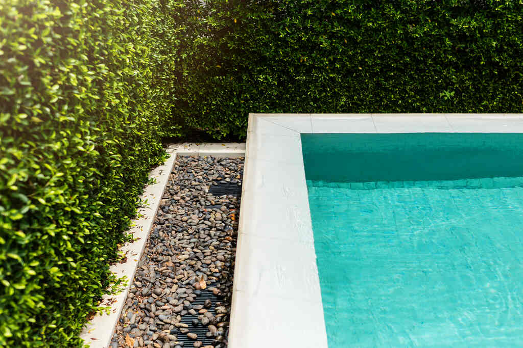 Detail of a pool corner with a vertical garden providing privacy, complemented by a stone drainage area for a clean and modern landscape design.