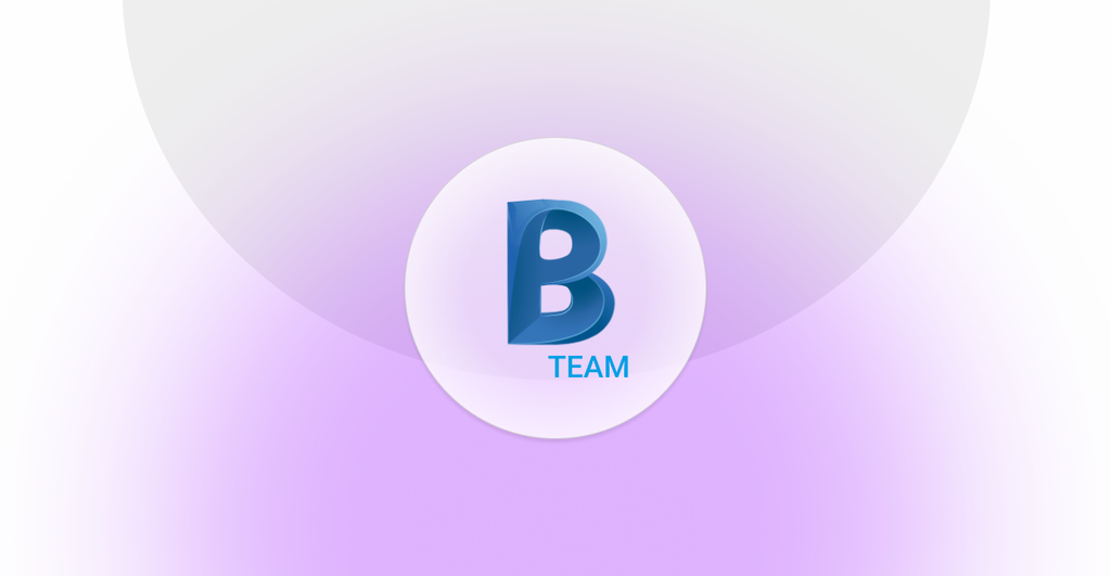 Logo BIM 360 Team