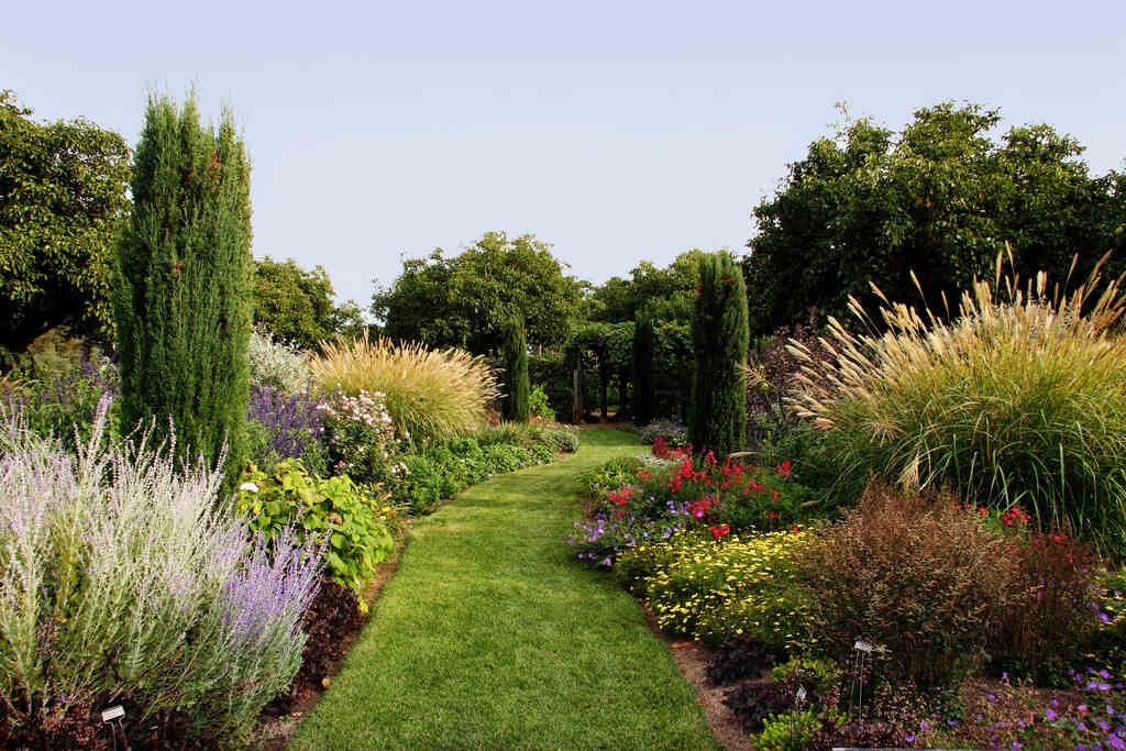 Camino en un jardín sensorial bordeado por una amplia variedad de plantas con flores, hierbas aromáticas, gramíneas ornamentales y altos cipreses, diseñado para estimular los sentidos a través de texturas, colores y fragancias, bajo un cielo despejado.